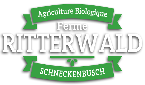 LogoRitterwaldMoyen